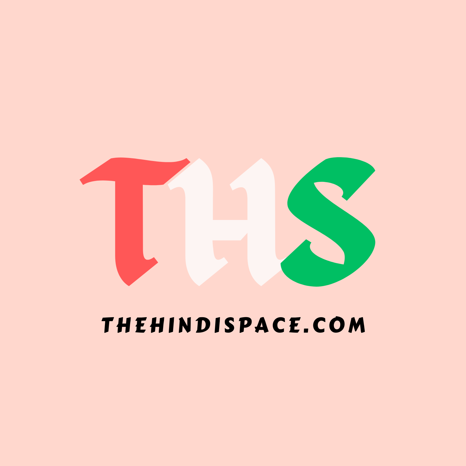 thehindispace.com